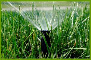 irrigation and sprinkler installation