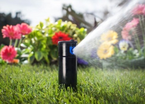 lawn sprinkler