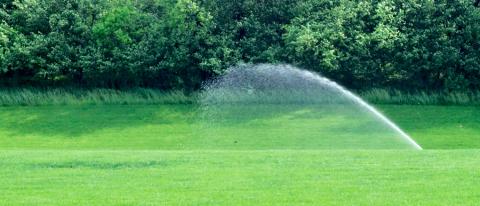 water-your-lawn-early-in-the-day