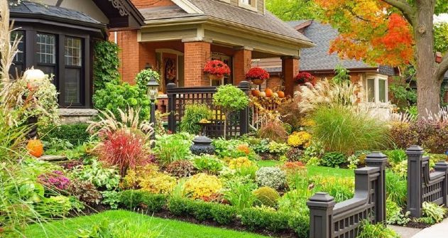 better-for-your-plants-and-other-landscaping